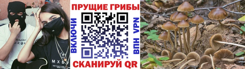 Галлюциногенные грибы ЛСД  наркошоп  Плёс 